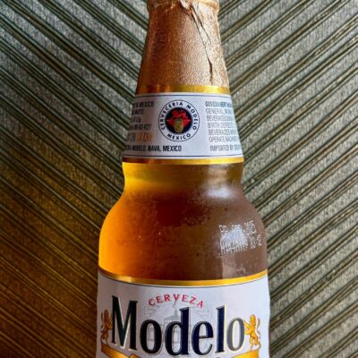 Maguro - Modelo